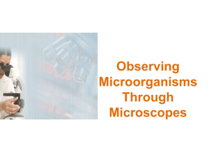 Observing Microorganisms Through Microscopes