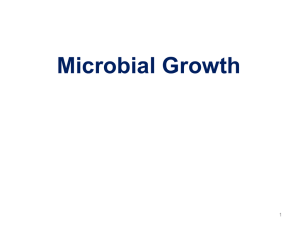 Microbial Growth 1