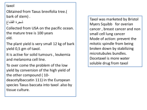 taxol Obtained from Taxus brevifolia tree.( bark of stem) .