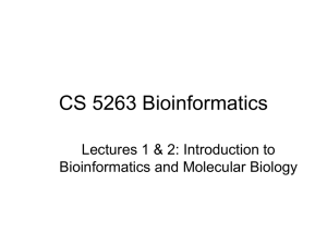 CS 5263 Bioinformatics Lectures 1 &amp; 2: Introduction to