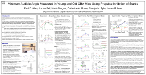 Minimum Audible Angle Measured in Young and Old CBA Mice... Paul D. Allen, Jordan Bell, Navin Dargani, Catherine A. Moore,... 353 Department of Brain &amp; Cognitive Sciences, University of Rochester, Rochester,...