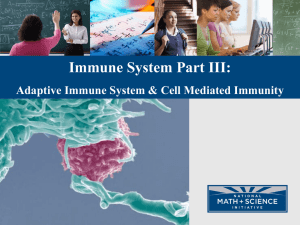Immune System Part III: Adaptive Immune System &amp; Cell Mediated Immunity