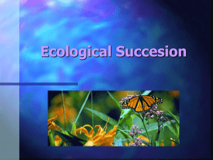 Ecological Succesion