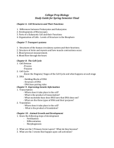 College Prep Biology Study Guide for Spring Semester Final