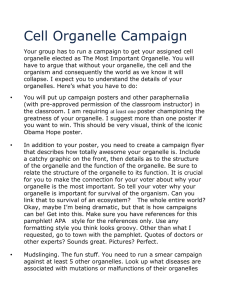 Cell Organelle Campaign