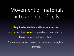 Movement of materials into and out of cells