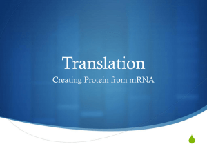 Translation S Creating Protein from mRNA