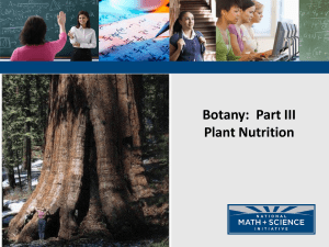 Botany:  Part III Plant Nutrition