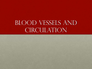 BLOOD VESSELS AND CIRCULATION