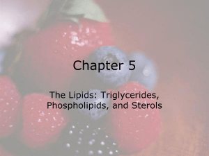 Chapter 5 The Lipids: Triglycerides, Phospholipids, and Sterols © 2008 Thomson - Wadsworth