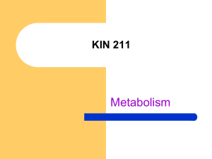 Metabolism KIN 211