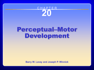 20 Perceptual–Motor Development –Motor Development