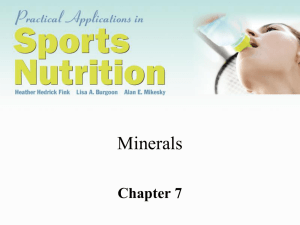 Minerals Chapter 7