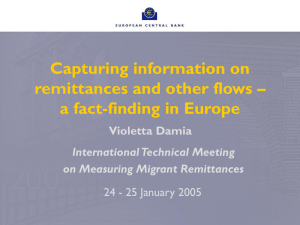 Capturing information on remittances and other flows – a fact-finding in Europe