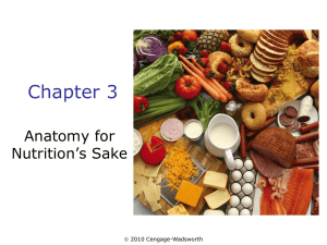 Chapter 3 Anatomy for Nutrition’s Sake 