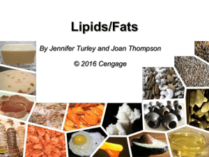 Lipids/Fats By Jennifer Turley and Joan Thompson © 2016 Cengage
