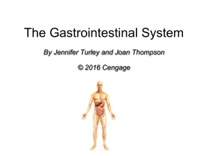 The Gastrointestinal System By Jennifer Turley and Joan Thompson © 2016 Cengage