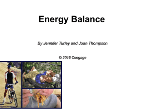 Energy Balance By Jennifer Turley and Joan Thompson © 2016 Cengage