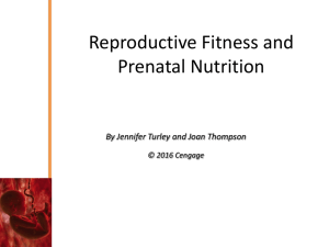 Reproductive Fitness and Prenatal Nutrition By Jennifer Turley and Joan Thompson