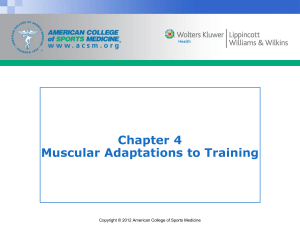 Chapter 4 Muscular Adaptations to Training