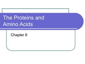 The Proteins and Amino Acids Chapter 6