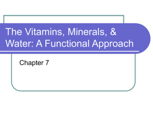 The Vitamins, Minerals, &amp; Water: A Functional Approach Chapter 7