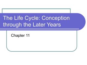 The Life Cycle: Conception through the Later Years Chapter 11