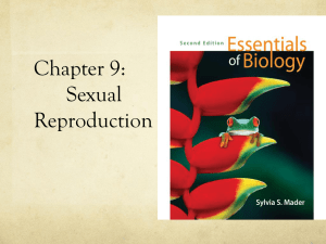 Chapter 9: Sexual Reproduction