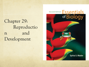 Chapter 29: Reproductio n and