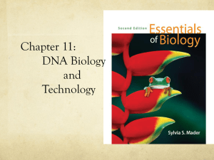 Chapter 11: DNA Biology and Technology