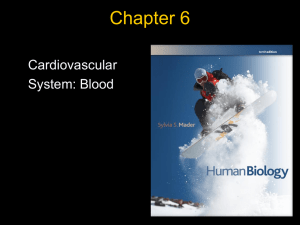 Chapter 6 Cardiovascular System: Blood