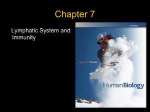 Chapter 7 Lymphatic System and Immunity