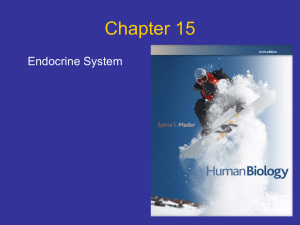 Chapter 15 Endocrine System
