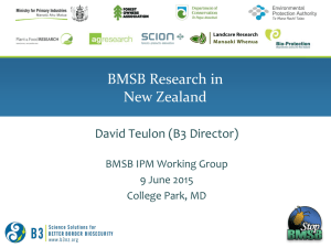BMSB Research in New Zealand David Teulon (B3 Director) BMSB IPM Working Group
