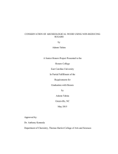 CONSERVATION OF ARCHEOLOGICAL WOOD USING NON-REDUCING SUGARS by