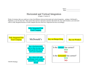 1 Vertical and Horizontal Integration helpers.doc