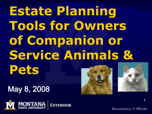 Estate Planning Tools for Owners of Companion or Service Animals &amp;