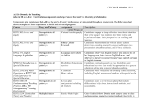 A.5.3b Diversity in Teaching