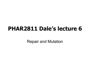 PHAR2811 Dale’s lecture 6 Repair and Mutation