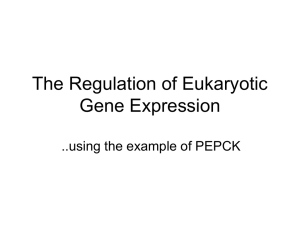 The Regulation of Eukaryotic Gene Expression ..using the example of PEPCK
