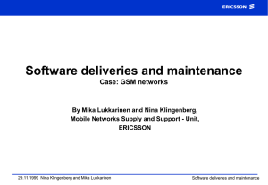 Software deliveries and maintenance Case: GSM networks