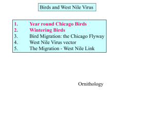 Birds and West Nile Virus 3. Bird Migration: the Chicago Flyway 4.