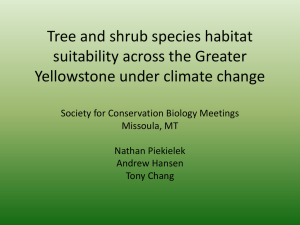 Tree and shrub species habitat suitability across the Greater