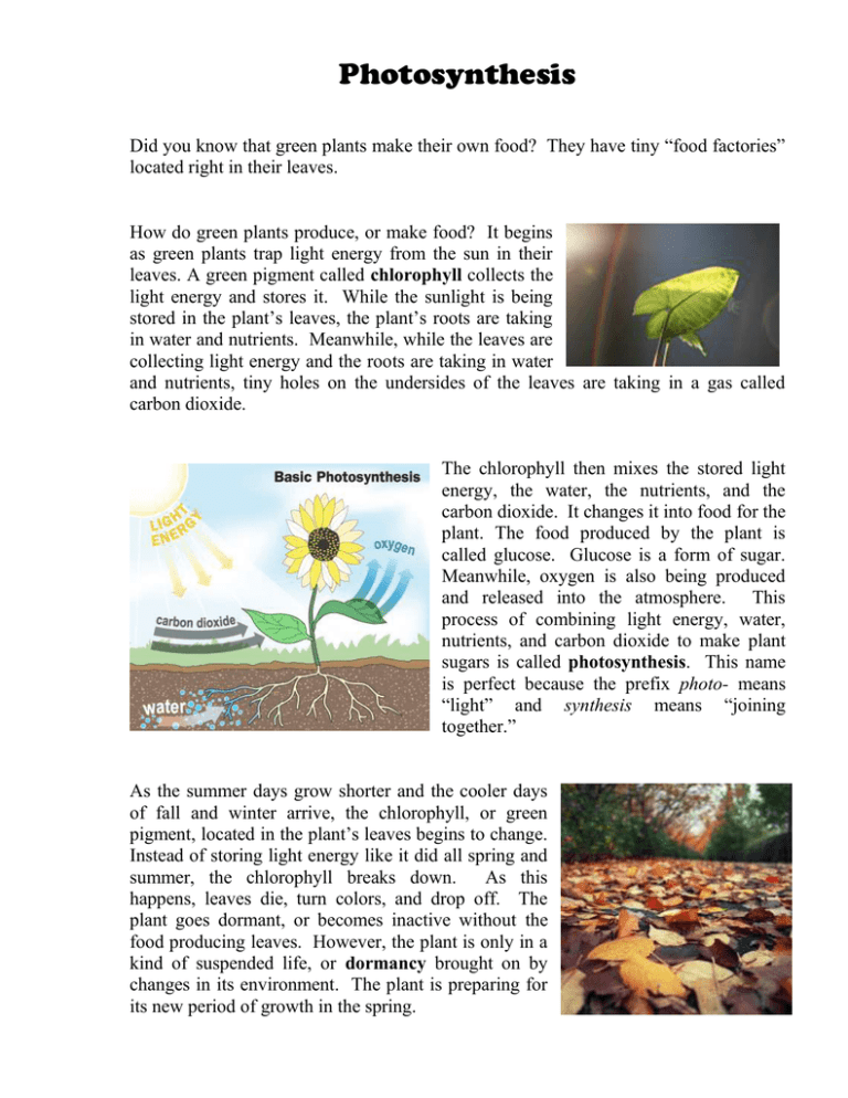 Photosynthesis