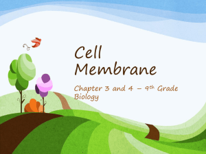 Cell Membrane Chapter 3 and 4 – 9 Grade