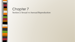 Chapter 7 Section 2: Sexual vs Asexual Reproduction