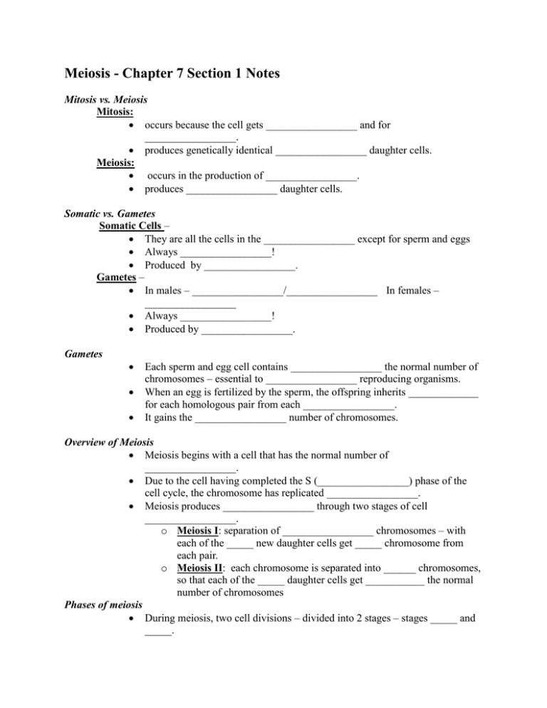 Meiosis Chapter 7 Section 1 Notes