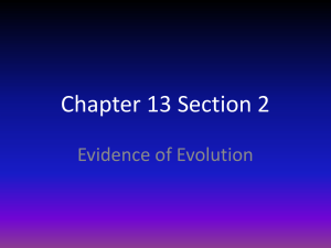 Chapter 13 Section 2 Evidence of Evolution
