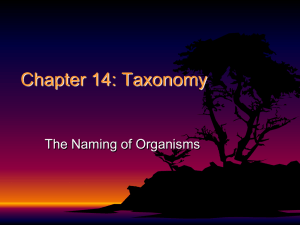 Chapter 14: Taxonomy The Naming of Organisms
