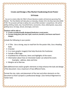 Create and Design a Flea Market Fundraising Event Poster 30 Points
